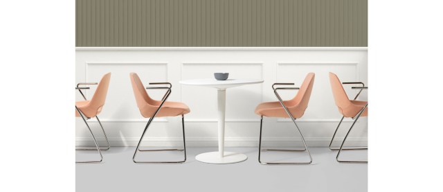 CLEA Visitor & Meeting chair